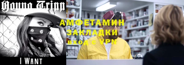 амф Горняк