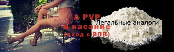 амф Горняк