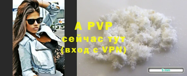 амф Горняк