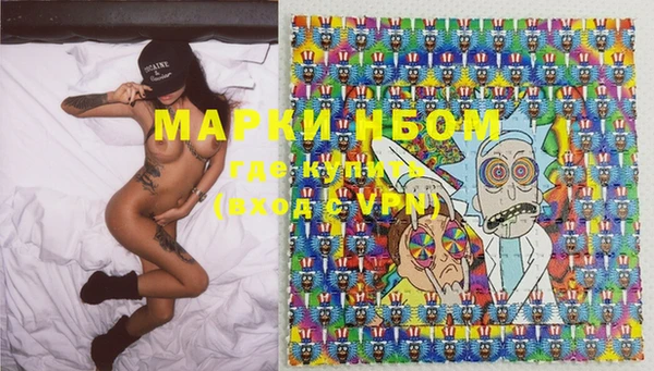 амф Горняк