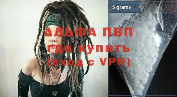 амф Горняк