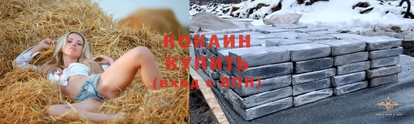 амф Горняк