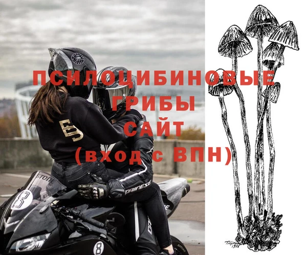 гашиш Горнозаводск